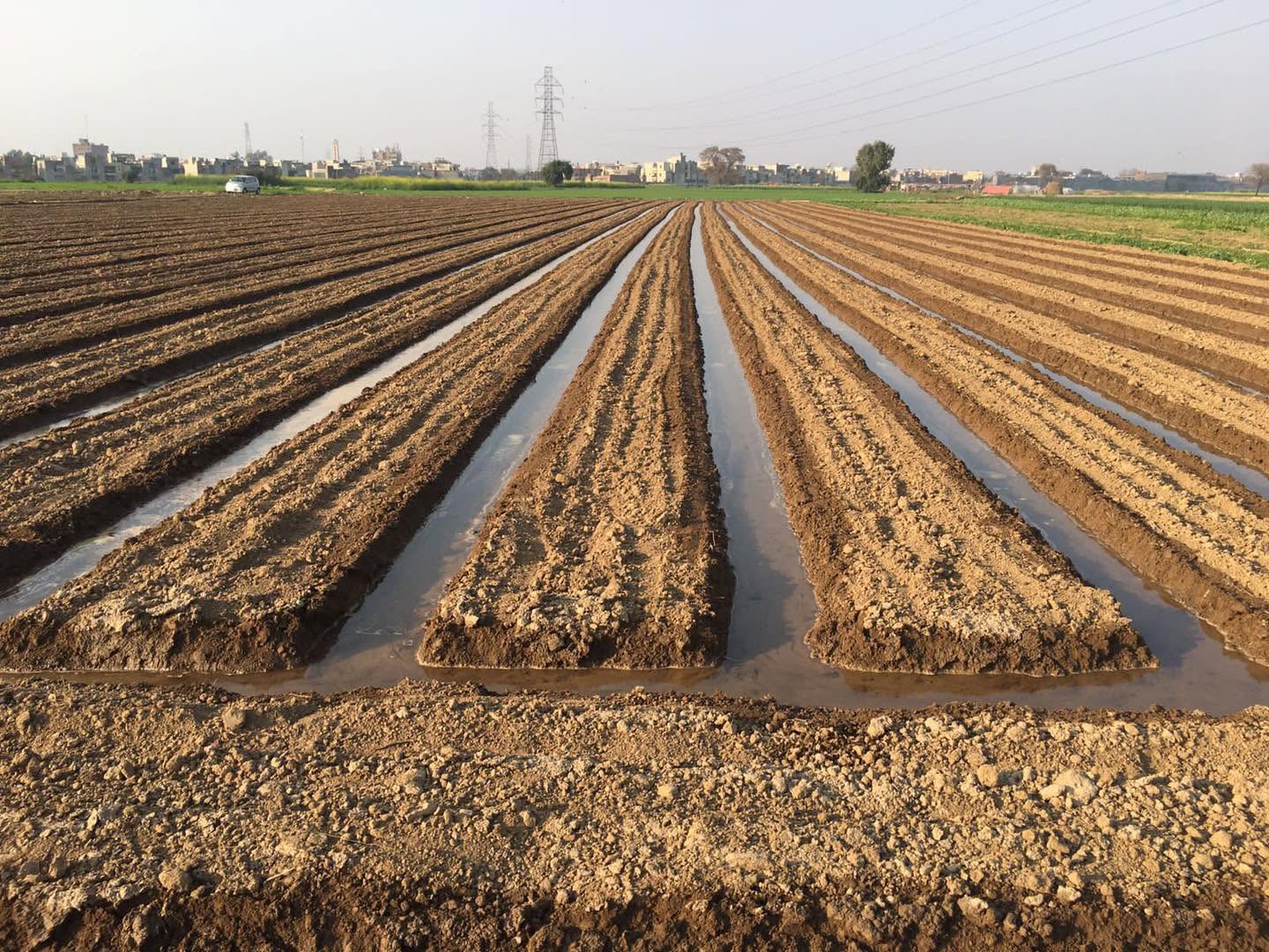 A PQNK field under preparation